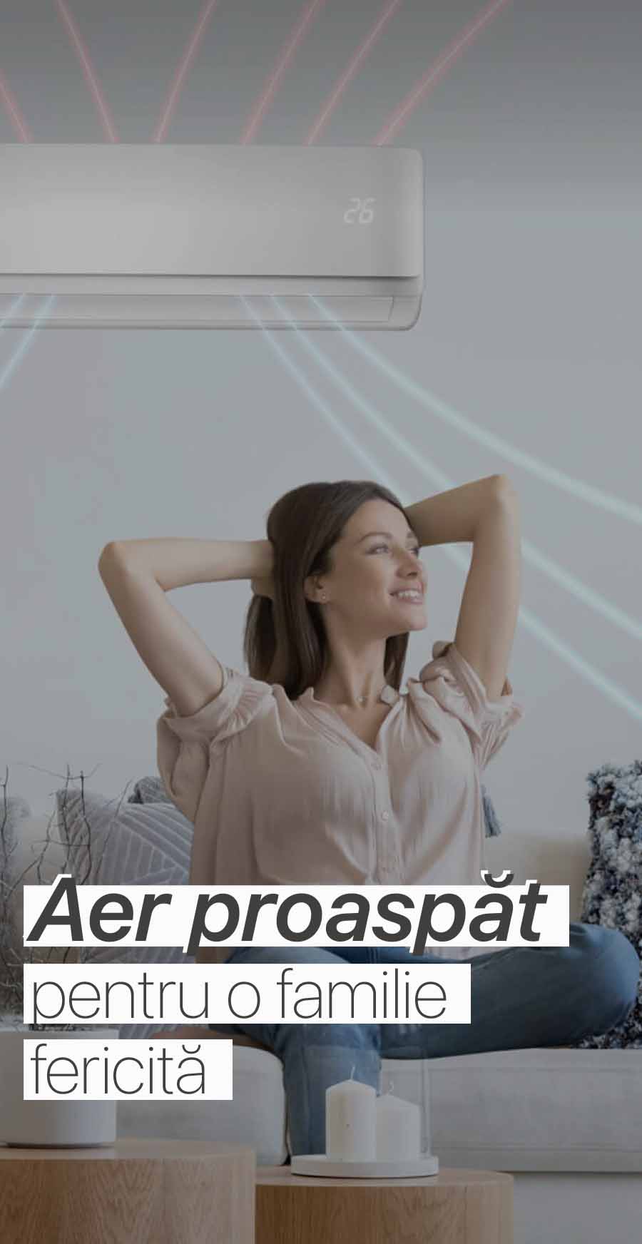 Imaginicarusel2.jpg